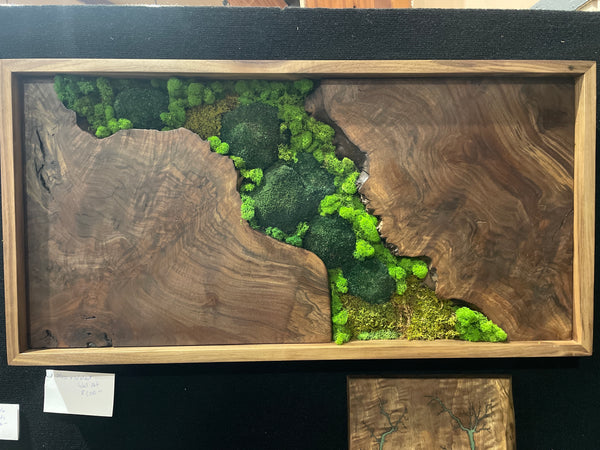 Walnut Framed Moss Wall Art