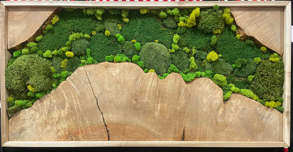 Bespoke Moss Wall Decor - Custom Made Moss Wood Wall Art - P - Inspire  Uplift